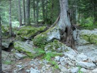 2025-07-27 M. Pelago e Lacs Bessons 008